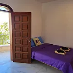 Exodus Hostel & Dive Center