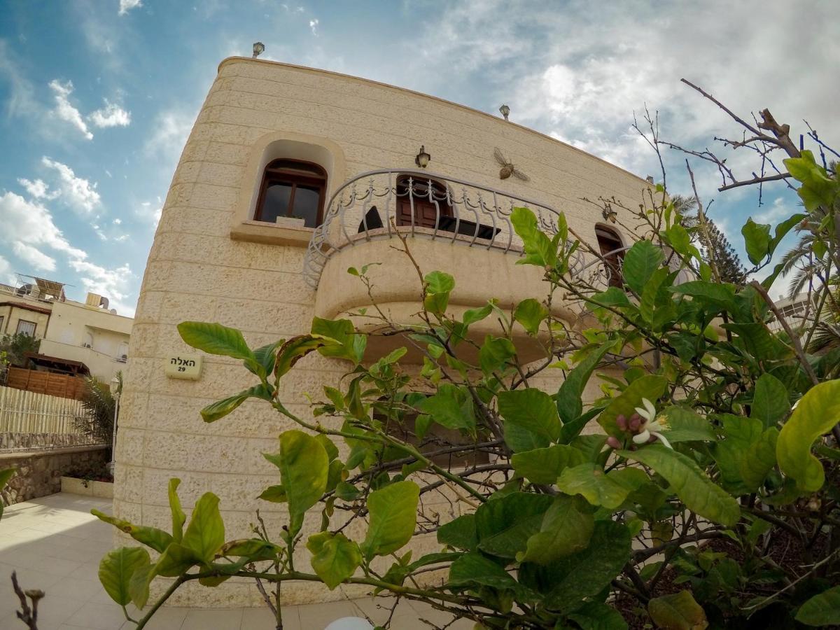 Exodus & Dive Center Eilat